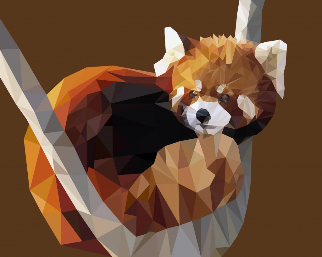 panda roux triangle